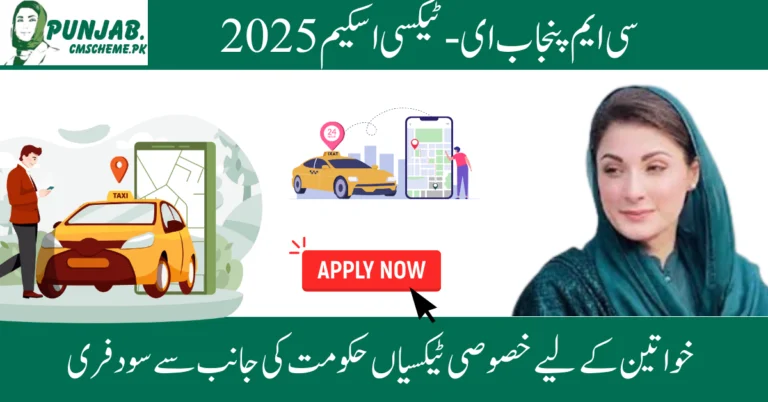 CM Punjab e taxi scheme 2025 for young genertion