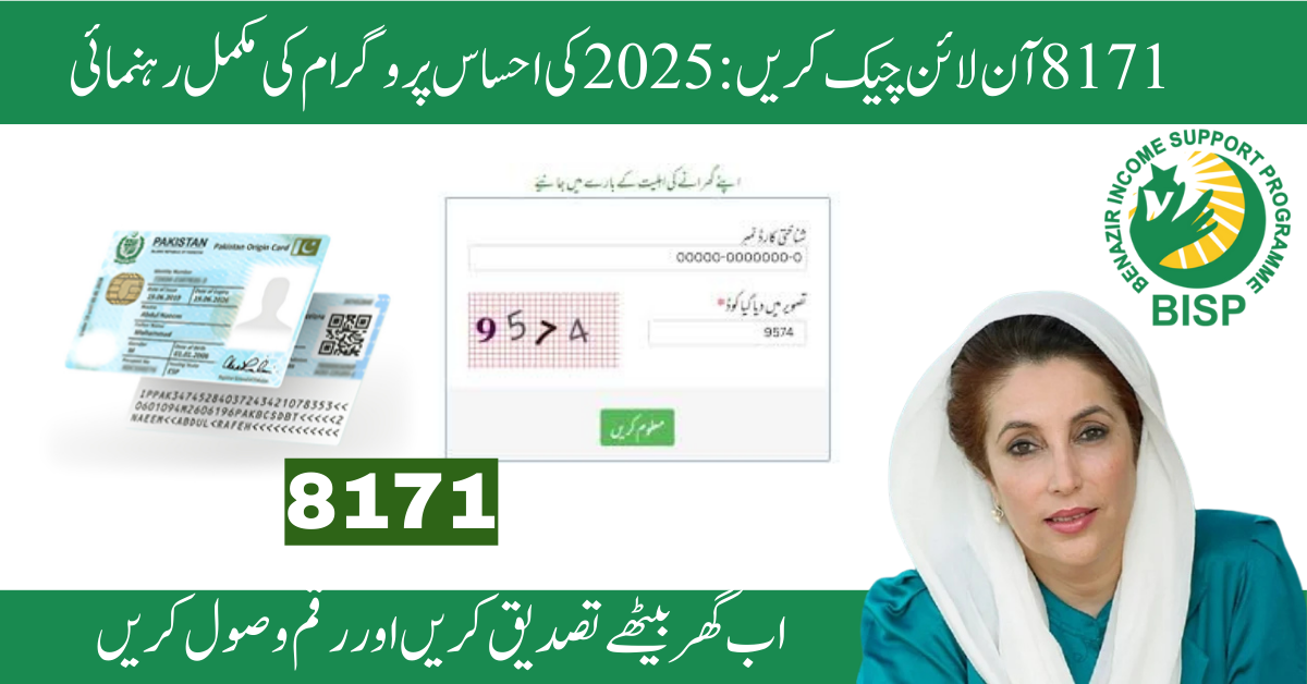 How to Check Your Ehsaas Program Status Online via 8171 CNIC in 2025: A Complete Guide