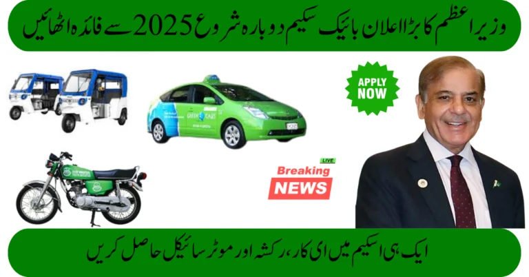 PM E-Vehicle Scheme Pakistan 2025