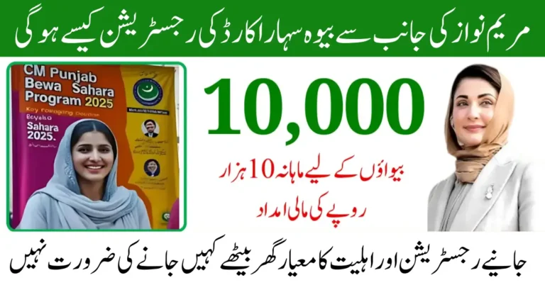 CM Punjab Bewa Sahara Card 2025